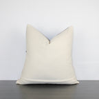 Cinnamon Orange Cover Pillow