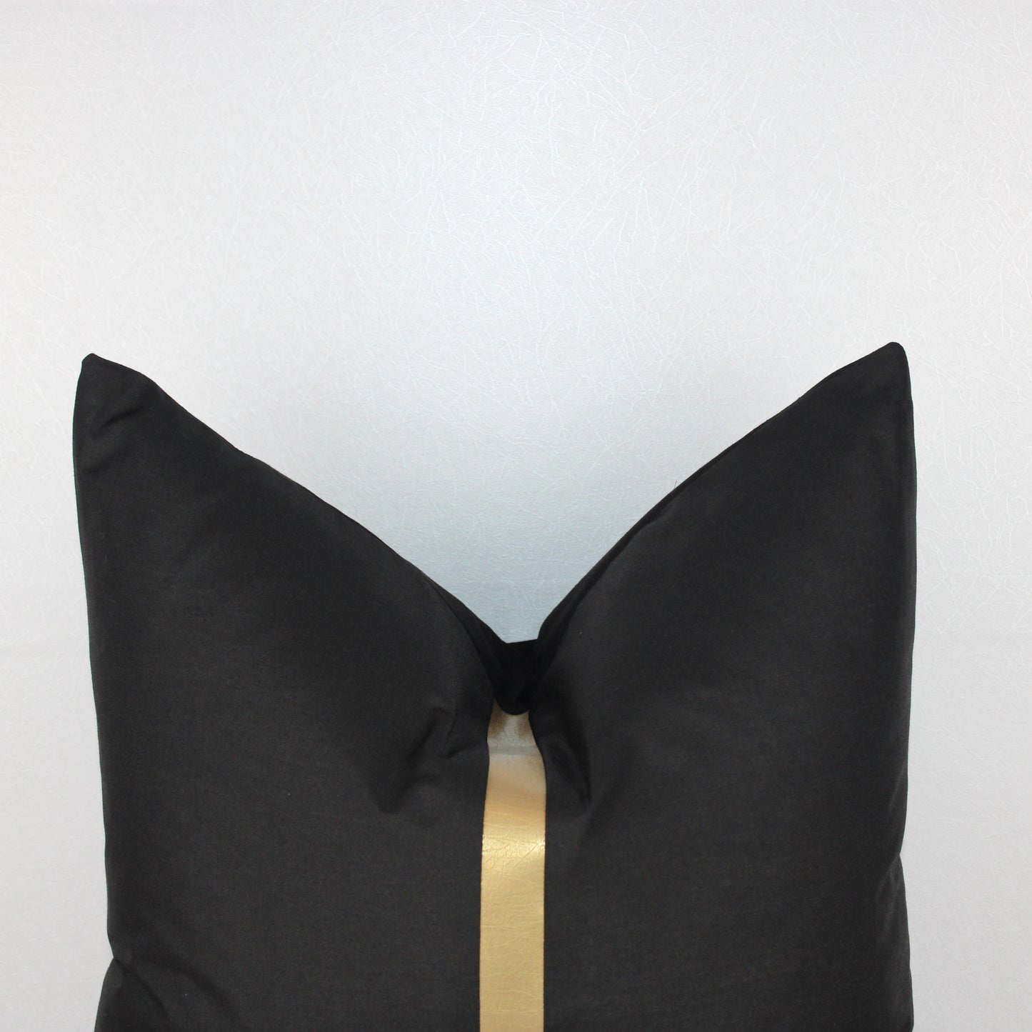 Modern Black Pillow Cover with Gold Center Stripe